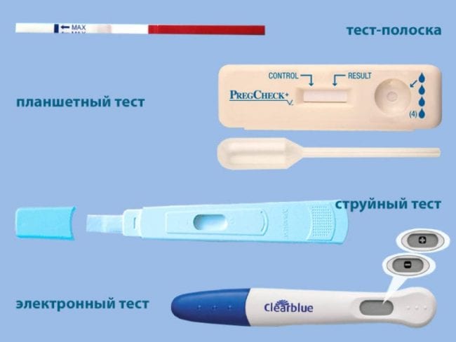 Виды тестов для определения беременности