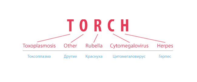 TORCH-инфекции - что это