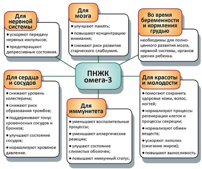 Польза ПНЖК Омега-3