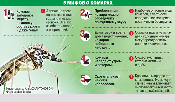 Болезни, переносимые комарами