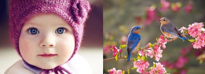 Маленькая девочка и птицы на ветке