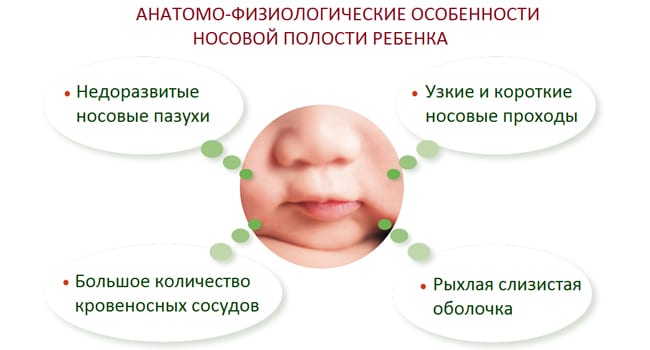 Анатомико-физиологические особенности строения носовой полости новорожденного