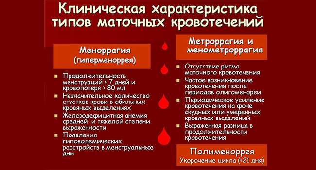 Характеристики маточных кровотечений