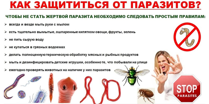 Как защититься от паразитов