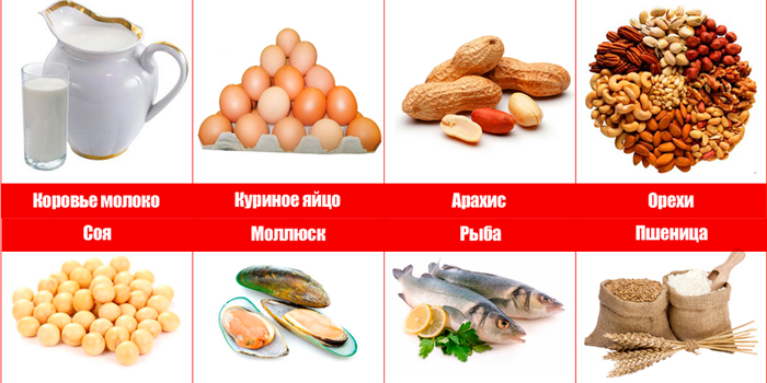 Основные пищевые аллергены 