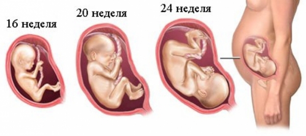 Чего ожидать во втором триместре беременности