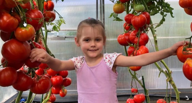 9 приемов, как приучить детей есть овощи