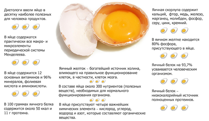 Свойства яиц