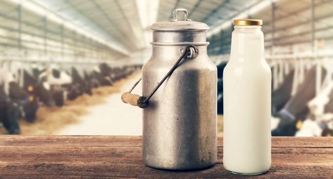 Опасности сырого молока