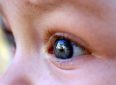 5 распространенных мифов о здоровье глаз вашего ребенка