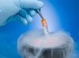 Криоконсервация эмбрионов в протоколе ЭКО — как это поисходит