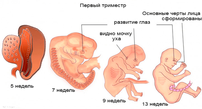 Спазмообразные боли внизу живота при беременности thumbnail