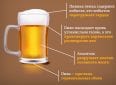 Можно ли пить пиво при беременности