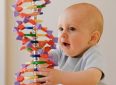 Как гены влияют на внешний вид ребенка