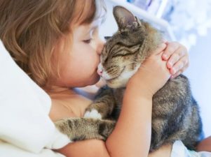 9 лучших пород кошек для детей