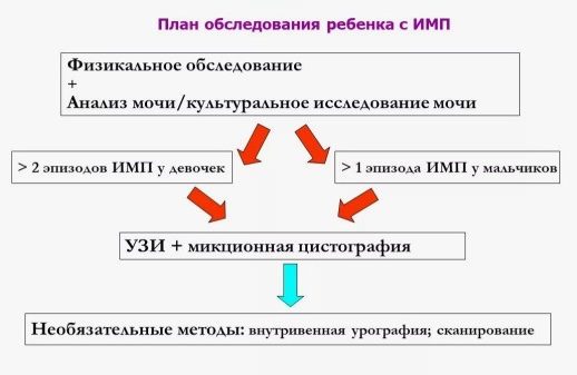 Инфекции мочевыводящих путей у ребенка