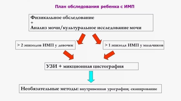 Инфекции мочевыводящих путей у ребенка