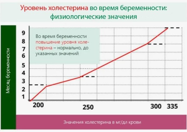 Нормален ли высокий уровень холестерина во время беременности