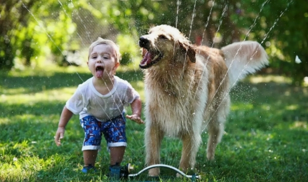 Отношения между домашними животными и детьми: как укрепить позитивную связь