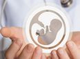 Факты и мифы о фертильности