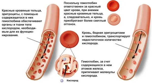 Как анемия влияет на беременность
