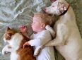 7 лучших домашних животных для детей