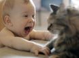 Признаки инфекции от кошачьих царапин у ребенка
