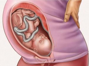 Изменения в молочной железе и шейке матки во время беременности
