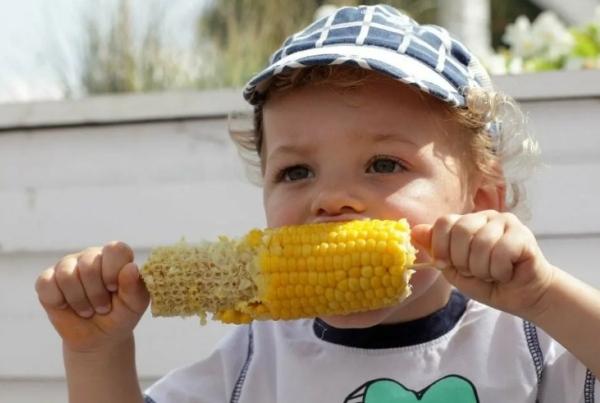 Можно ли ребенку есть кукурузу