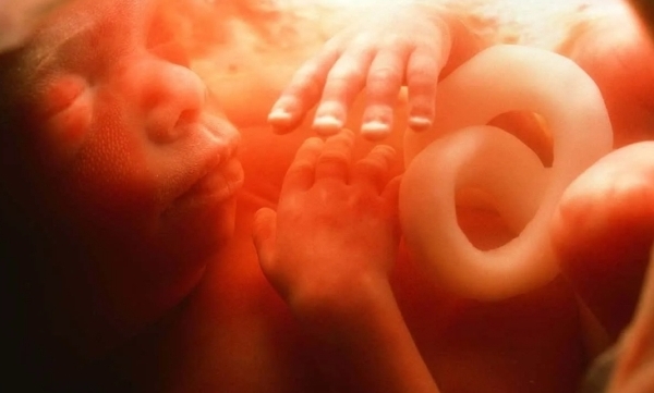 Плачут ли младенцы в утробе матери