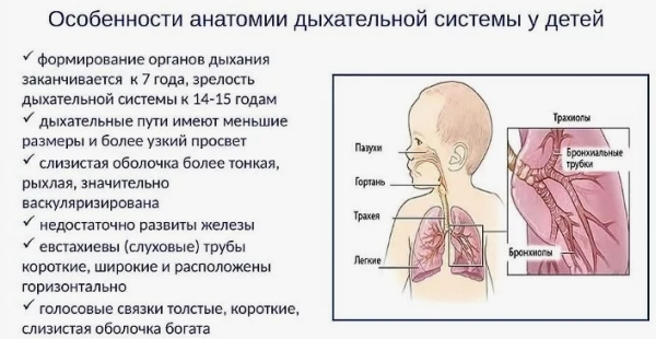 Что вызывает учащенное дыхание у младенцев и как это лечится