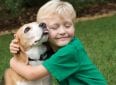 15 лучших пород собак для детей